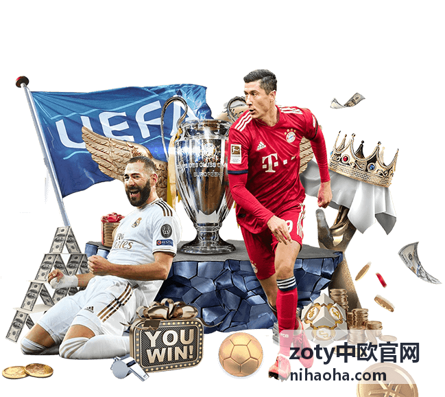 zoty中欧官网需求登记与响应流程