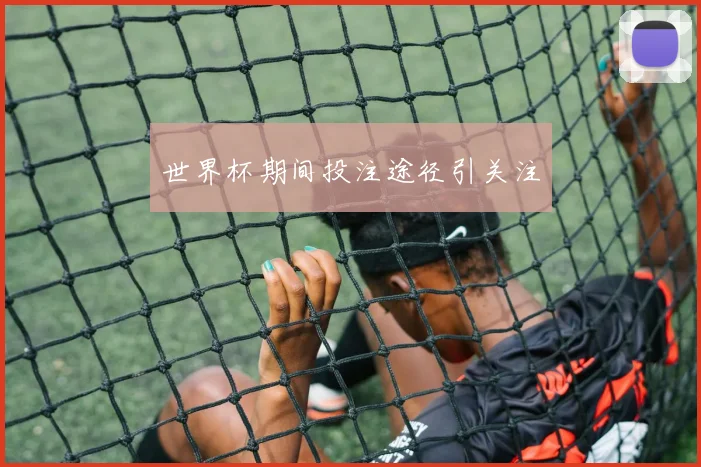 世界杯期间投注途径引关注