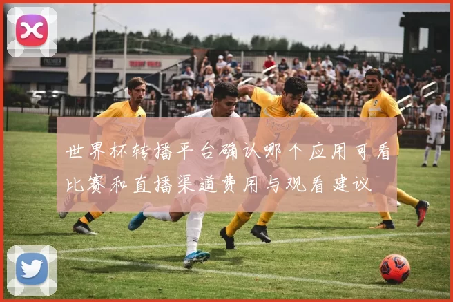 世界杯转播平台确认哪个应用可看比赛和直播渠道费用与观看建议