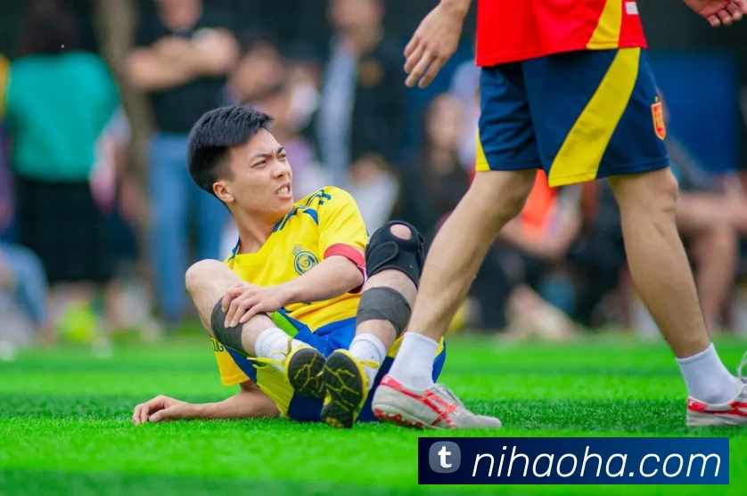 开云网页版登录入口 - 开云online(中国)服务体系